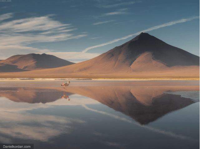 Screen Shot 2016-08-07 at 8.16.55 PM