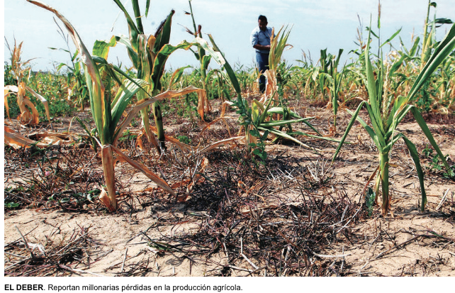 Screen Shot 2016-08-13 at 8.01.41 AM