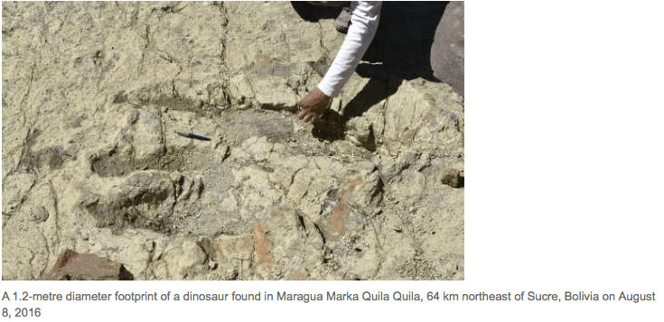 Screen Shot 2016-08-18 at 9.00.22 AM