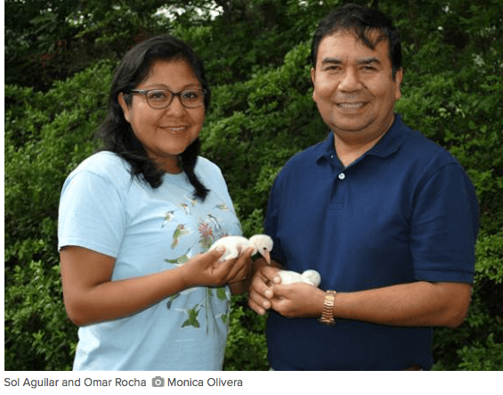 screen-shot-2016-09-14-at-9-29-03-am