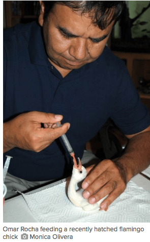 screen-shot-2016-09-14-at-9-35-25-am