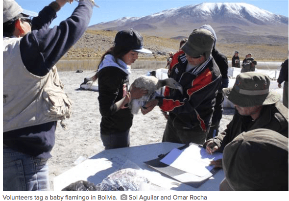 screen-shot-2016-09-14-at-9-37-52-am