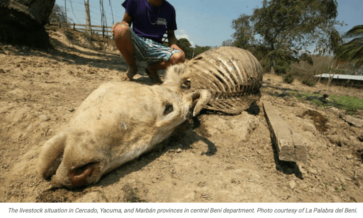 screen-shot-2016-10-04-at-9-04-47-am