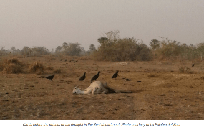 screen-shot-2016-10-04-at-9-06-55-am