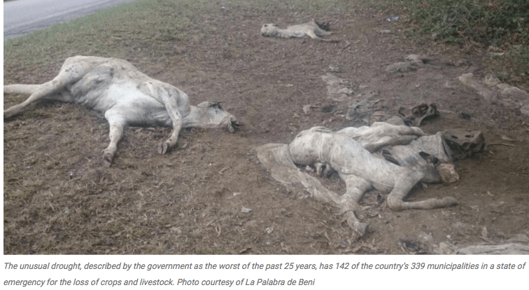 screen-shot-2016-10-04-at-9-17-00-am