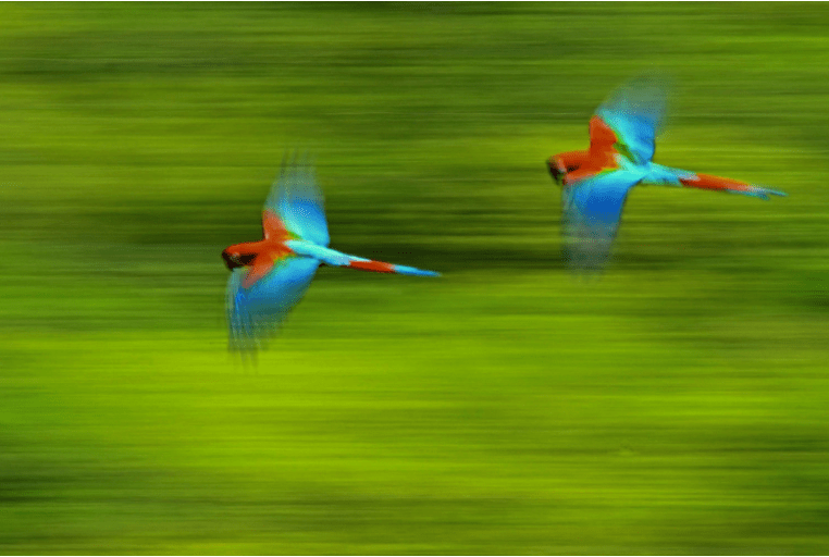 screen-shot-2016-10-13-at-9-13-05-am