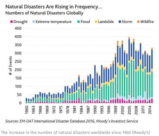 screen-shot-2016-11-15-at-9-16-14-am