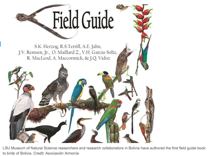 screen-shot-2016-12-04-at-8-22-18-pm