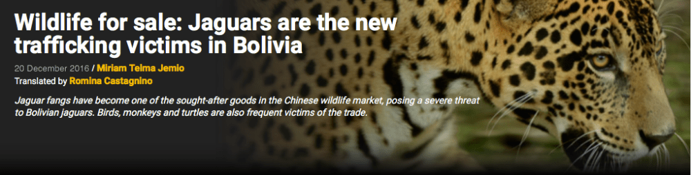 screen-shot-2016-12-20-at-6-05-22-am