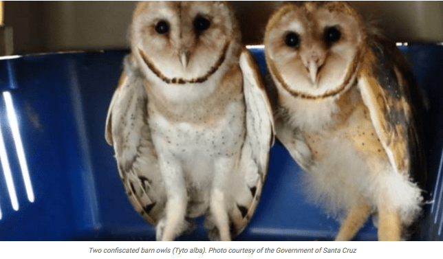 screen-shot-2016-12-20-at-6-09-05-am