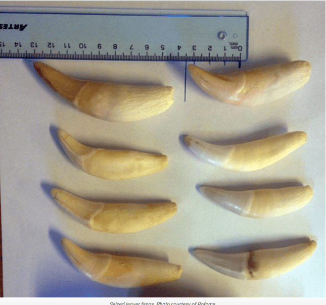 screen-shot-2016-12-20-at-6-10-27-am