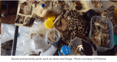 screen-shot-2016-12-20-at-6-18-54-am