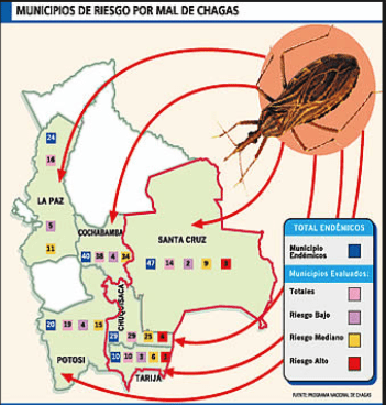 Chagas