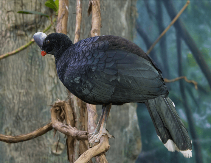 screen-shot-2017-01-14-at-9-15-28-am