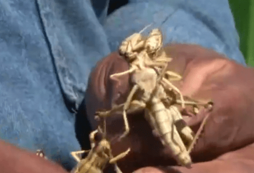 screen-shot-2017-02-01-at-11-35-40-am