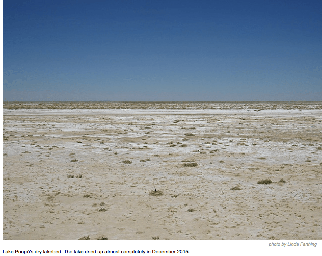 screen-shot-2017-02-02-at-12-04-27-pm