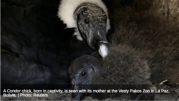 screen-shot-2017-02-07-at-8-12-44-am