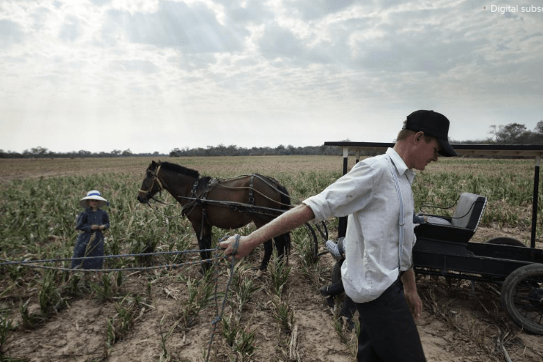 screen-shot-2017-02-15-at-8-52-47-am