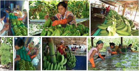 screen-shot-2017-02-21-at-9-05-29-am